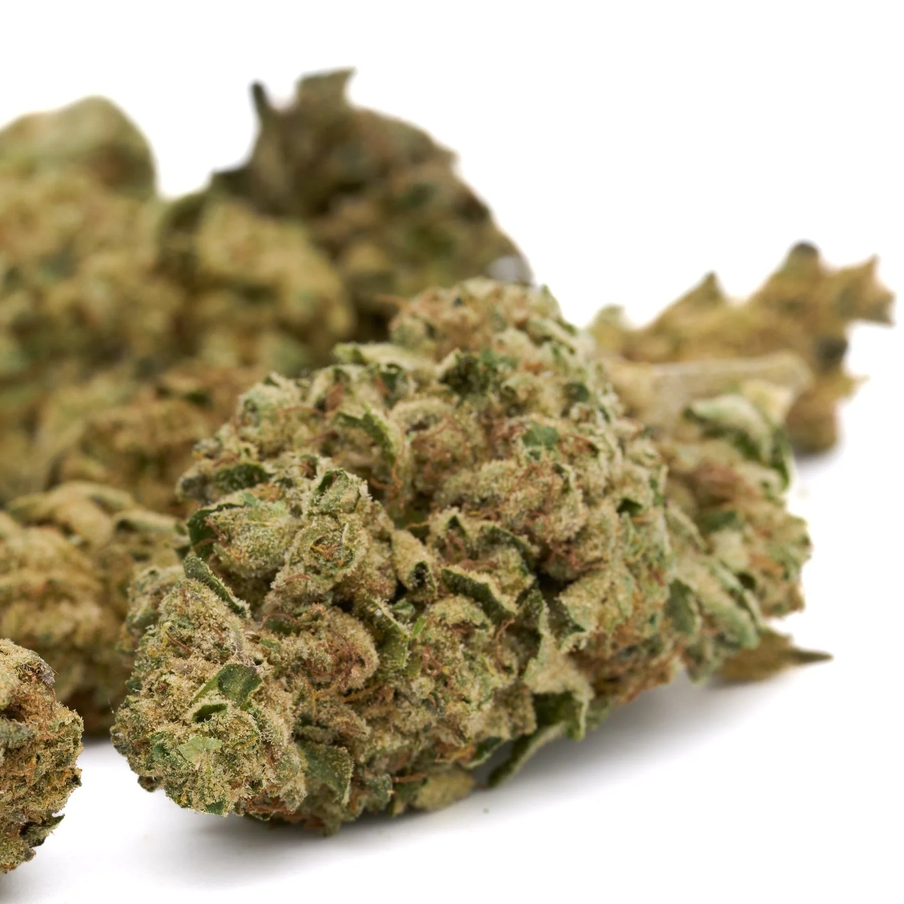 Greenhouse vs Indoor THCa Flower: Comparing Jelly Breath and Giggle Gas Quality