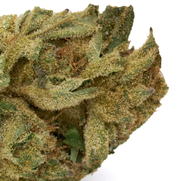 Greenhouse vs Indoor THCa Flower