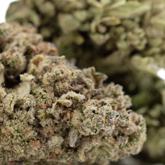 Jelly Donut THCa Flower Full-Term