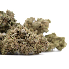 Jelly Donut THCa Flower Full-Term