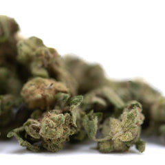 Jelly Donut THCa Flower Smalls Full-Term