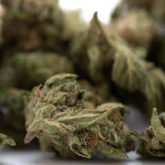 Jelly Donut THCa Flower Smalls Full-Term