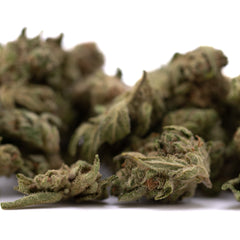 Jelly Donut THCa Flower Smalls Full-Term