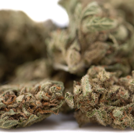 Premium Jelly Mints THCa Flower Smalls Bud with Trichomes for Sleep Support