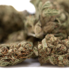 Jelly Mints THCa Flower Smalls Full-Term