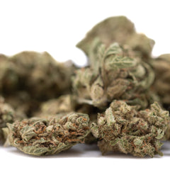 Premium Jelly Mints THCa flower smalls with green buds for sleep support