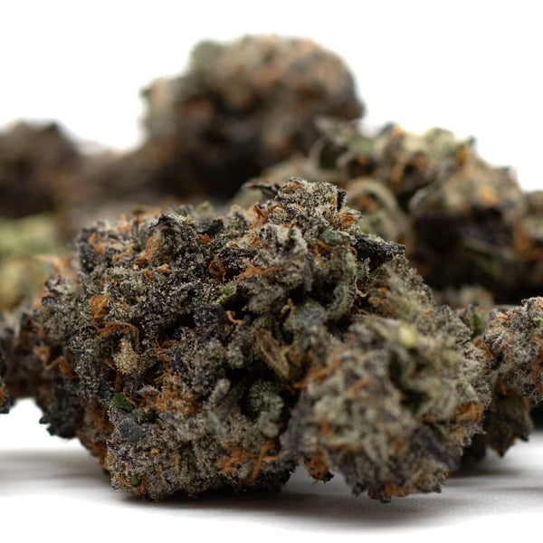 Zkittlez Indoor THCa vs Jessica Rabbit