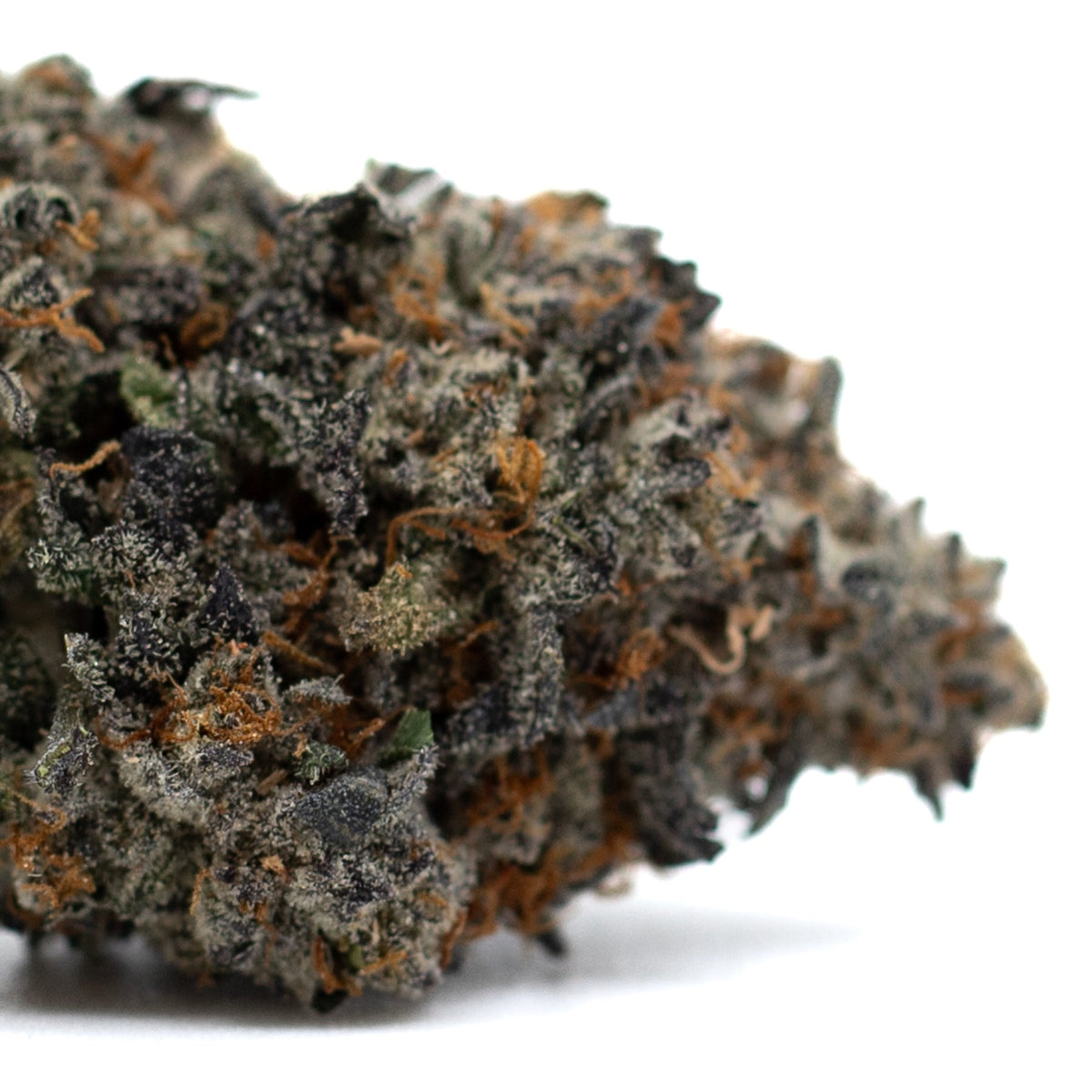 Jessica Rabbit Indoor THCa Flower - Plants