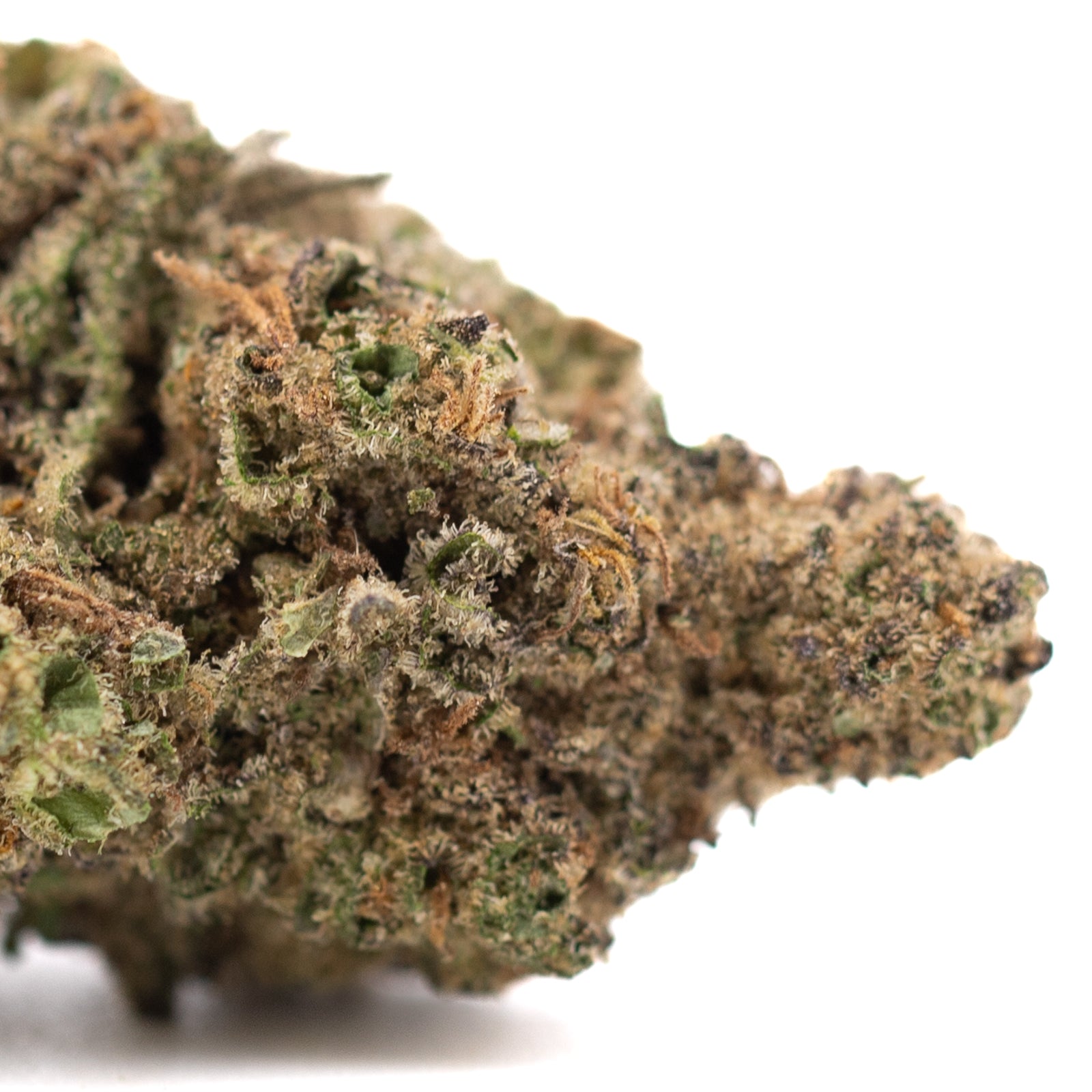 Joker OG THCa Hemp Flower Greenhouse - Plants