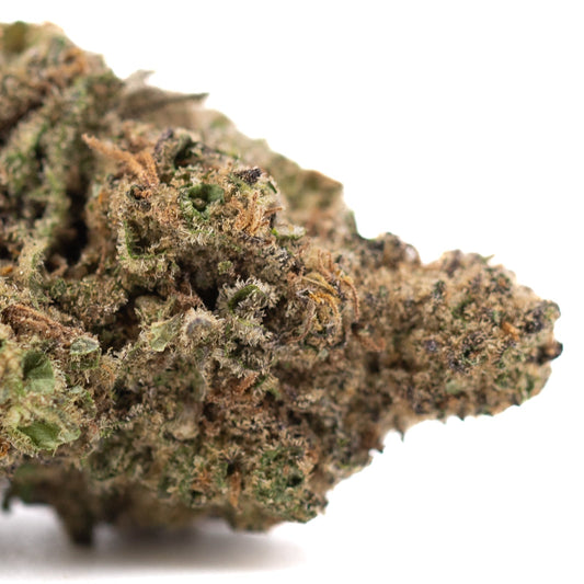 Joker OG THCa Hemp Flower Greenhouse - Plants