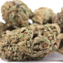 Jokerz Candy THCa Hemp Flower Greenhouse