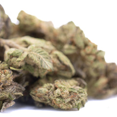 Jokerz NOS THCa Hemp Flower Greenhouse Smalls Wholesale