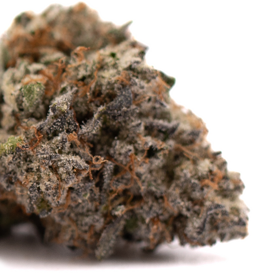 Jokerz Candy Indoor THCa Flower - Plants