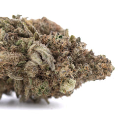 JOY THCa Hemp Flower Greenhouse