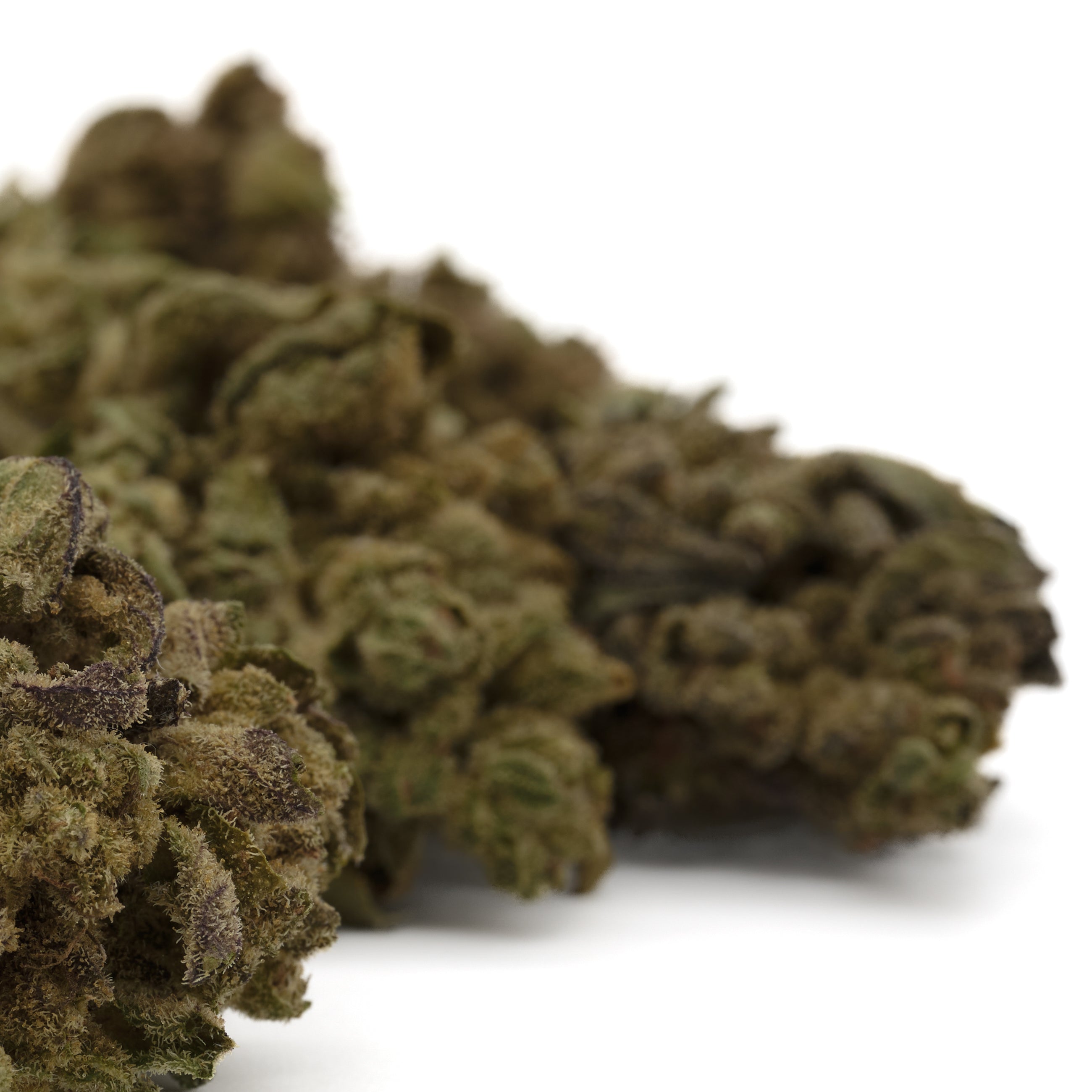 Lemon Cherry Gelato THCa Flower Greenhouse Wholesale - Plants