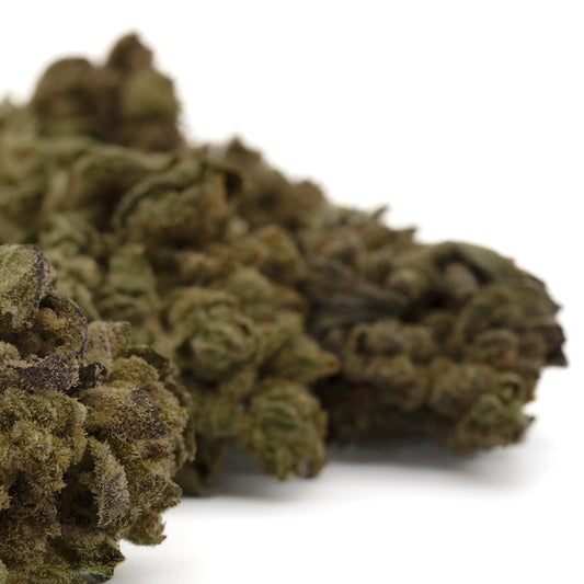 Lemon Cherry Gelato THCa Flower Greenhouse Wholesale - Plants