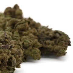 Lemon Cherry Gelato THCa Flower Greenhouse Wholesale - Plants