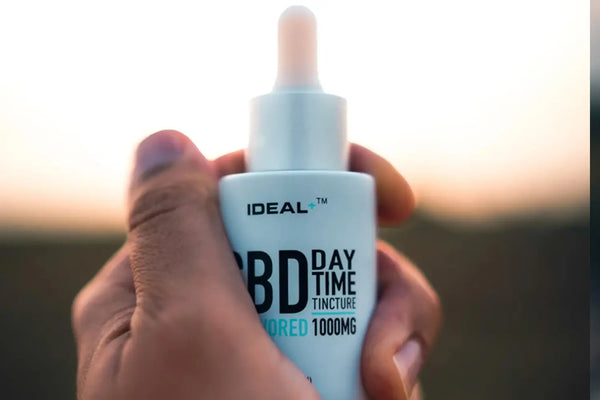 CBD Flower vs CBD Oil