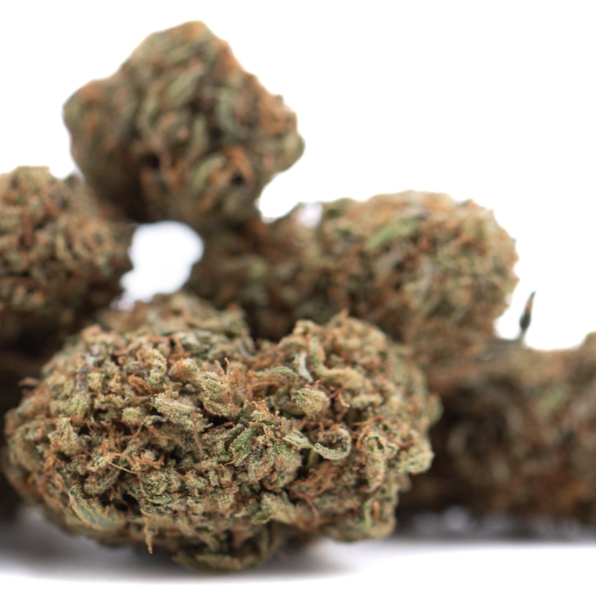 Lemon Octane CBD Full-Term Hemp Flower Wholesale