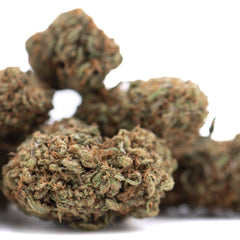 Lemon Octane CBD Full-Term Hemp Flower