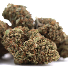 Lemon Octane CBD Full-Term Hemp Flower