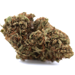 Lemon Octane CBD Full-Term Hemp Flower Wholesale