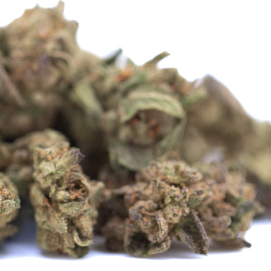 Lemon Cherry Gelato THCa Hemp Flower Greenhouse Smalls