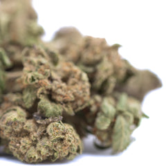 Lemon Cherry Gelato THCa Hemp Flower Greenhouse Smalls