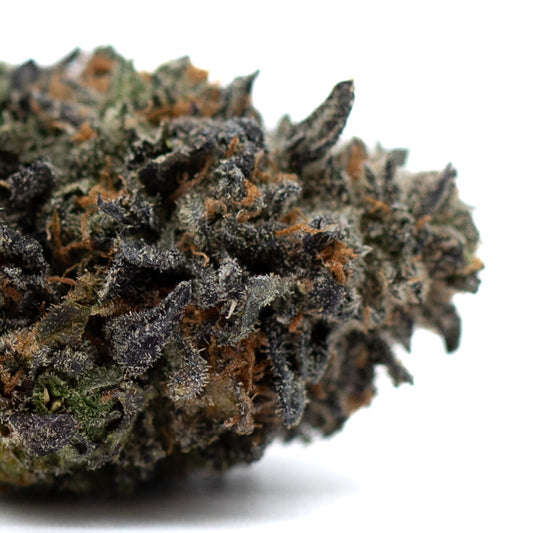 Lemon OG Indoor THCa Flower - Plants