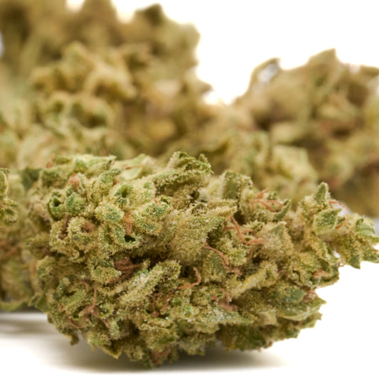 Lucky Charms THCa Flower Full-Term Wholesale - Plants