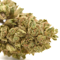 Lucky Charms THCa Flower Full-Term Wholesale - Plants