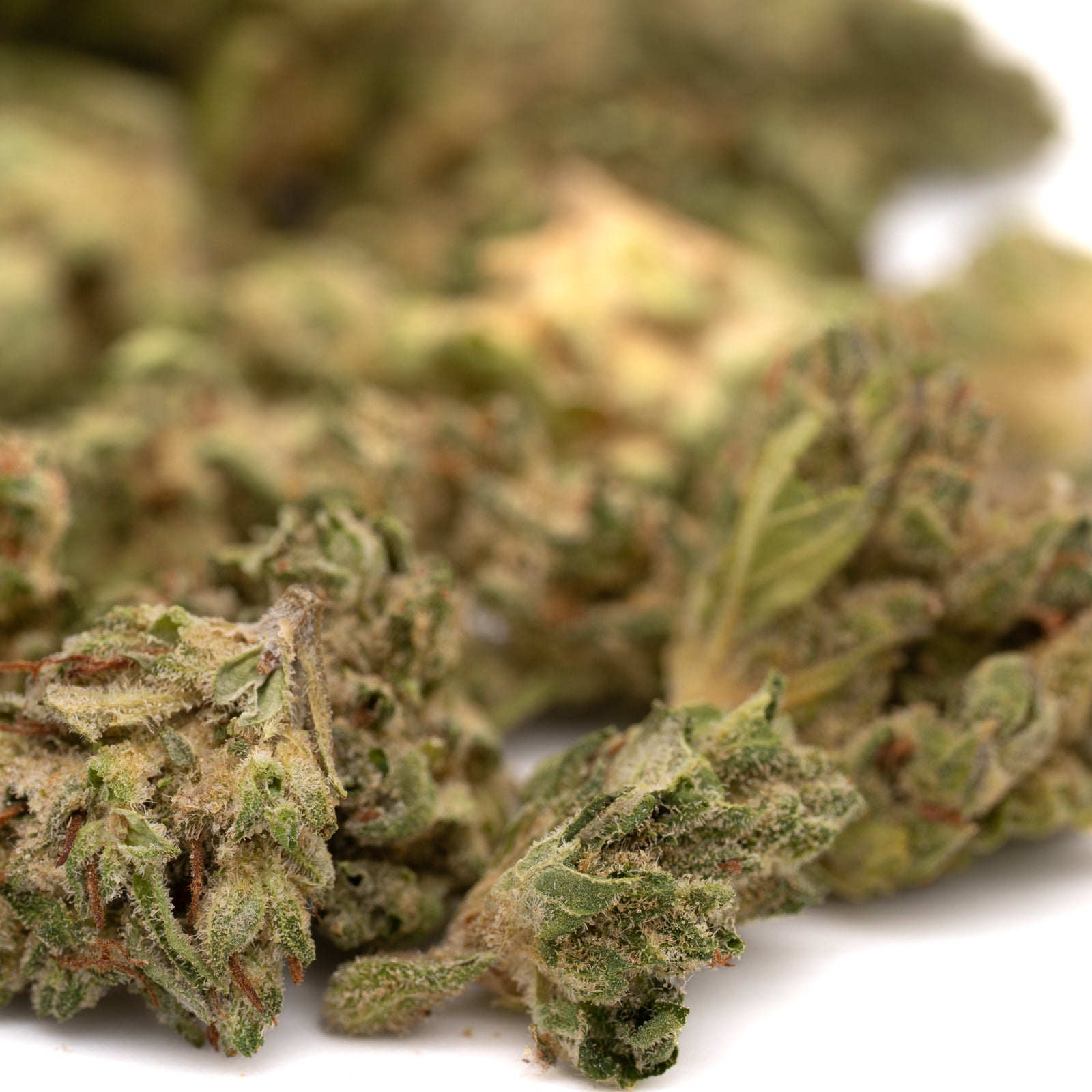 Lucky Charms THCa Hemp Flower Smalls Wholesale - Plants