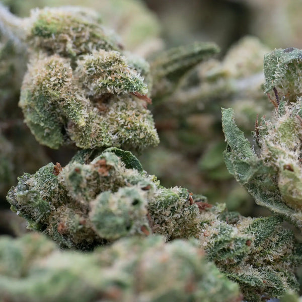 THCA Flower Growing Timeline