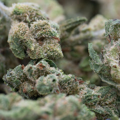 Lucky Charms THCa Hemp Flower Smalls Wholesale - Plants