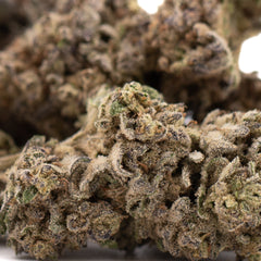 Lung Buster THCa Hemp Flower Greenhouse