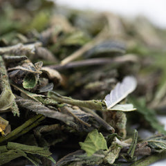 Lung Buster Greenhouse THCa Trim Wholesale