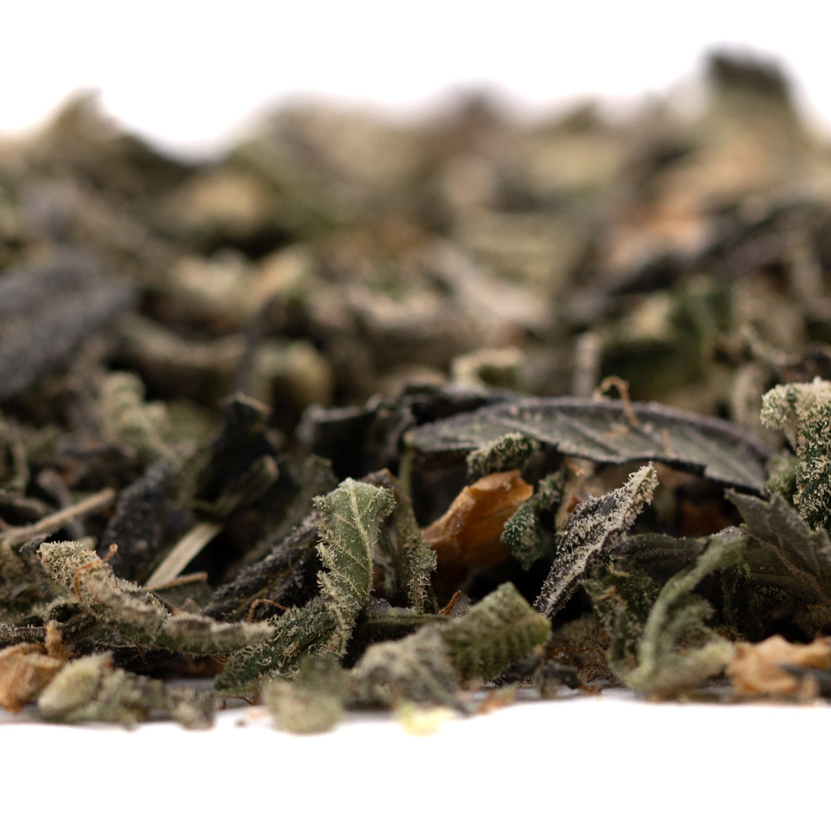 Lung Buster Indoor Trim Wholesale 1LB - 1 LB - Plants