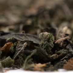 Lung Buster Indoor Trim Wholesale 1LB - 1 LB - Plants