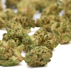 MAC #1 THCa Hemp Flower Wholesale Smalls - Plants