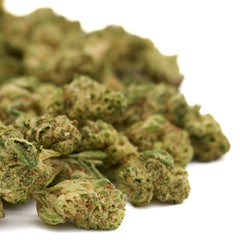 MAC #1 THCa Hemp Flower Wholesale Smalls - Plants