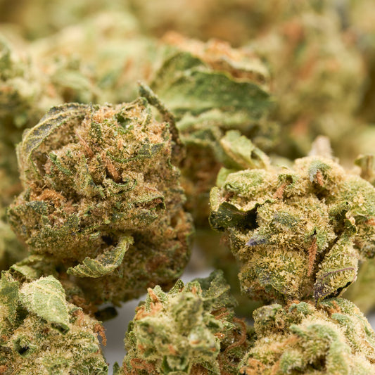 MAC #1 THCa Hemp Flower Wholesale Smalls - Plants