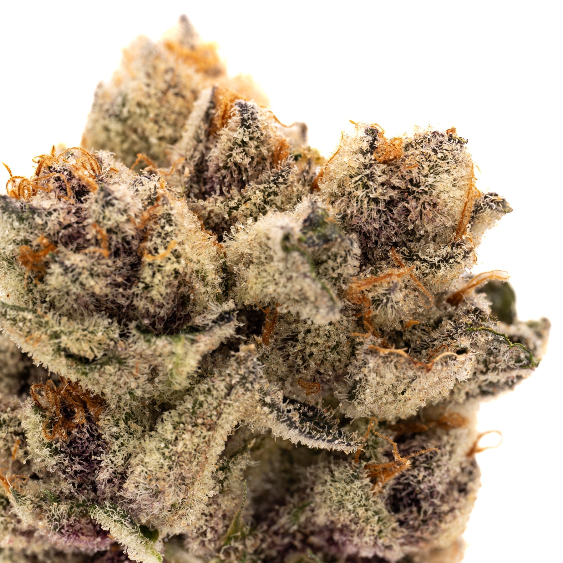 Mac And Gary Indoor THCa Flower