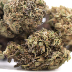 Magik CBD Hemp Flower Full-Term