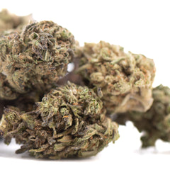 Magik CBD Hemp Flower Full-Term