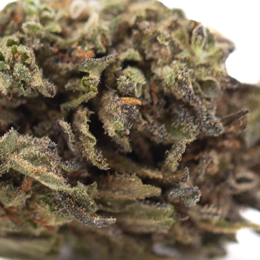Magik CBD Hemp Flower Full-Term
