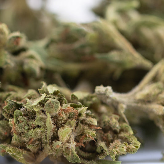 Magik CBD Hemp Flower Full-Term Smalls Wholesale