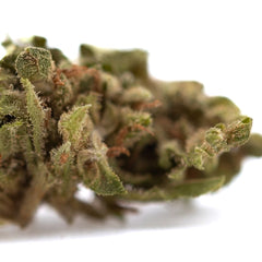 Magik CBD Hemp Flower Full-Term Smalls Wholesale