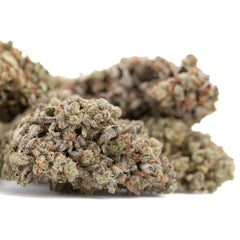 Mega Gummie Bearz THCa Flower Full-Term