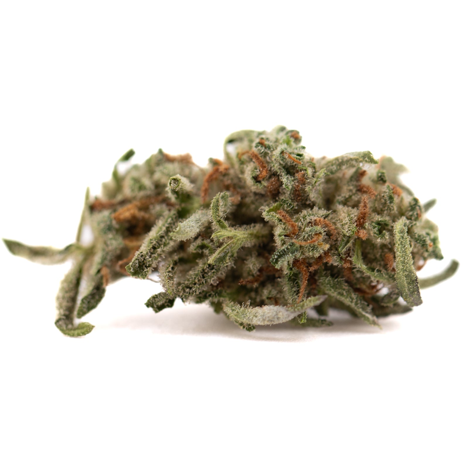 Premium Mega Gummie Bearz THCa Flower: Green Bud with Orange Highlights