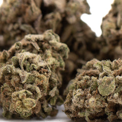 Money Ball THCa Hemp Flower Greenhouse